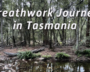 505d3fc-ce4-60db-dd57-41aea18682b0__3-26-2