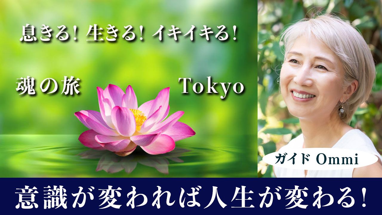 ff38cef-5f26-acff-bd22-e6f461ceb7a6_bef84bb3-8256-47c3-beb8-d2f3300fcfe0